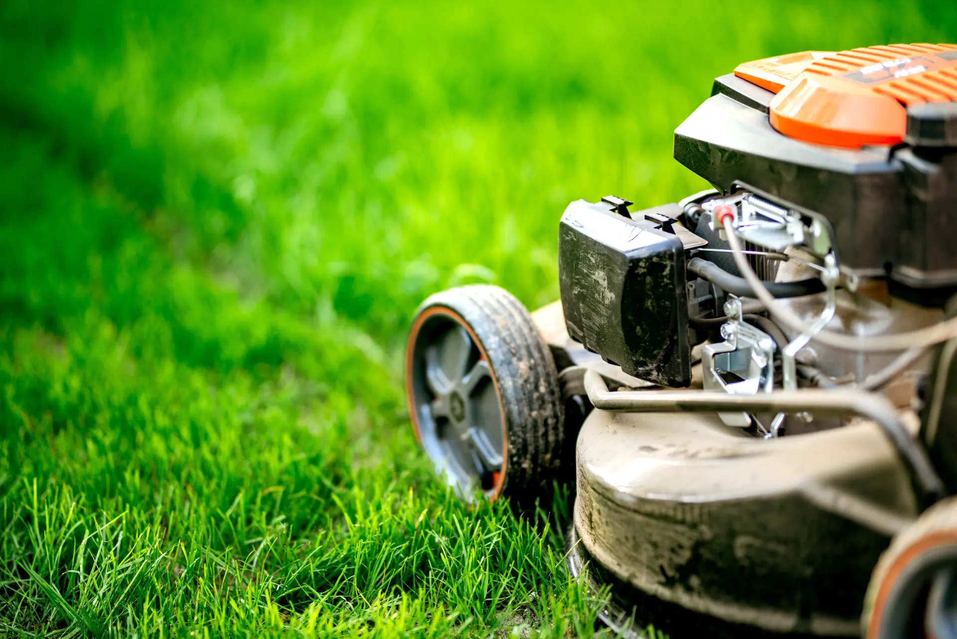 Sharpen the Blades - Keep Your Lawnmower Running Smoothly